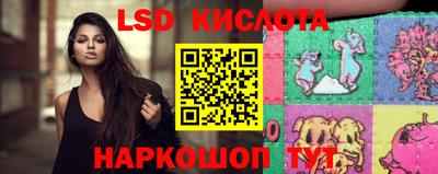 шишки Будённовск