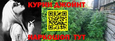 шишки Будённовск