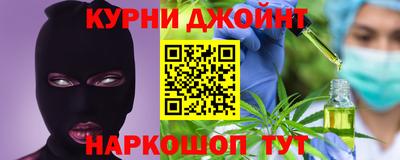 шишки Будённовск