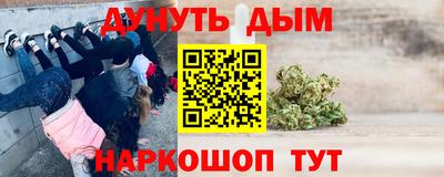 шишки Будённовск