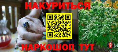 шишки Будённовск