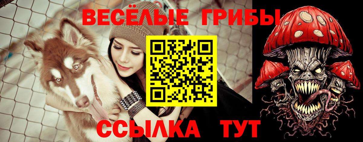Армавир  Галлюциногенные грибы прущие грибы  Вход с VPN 