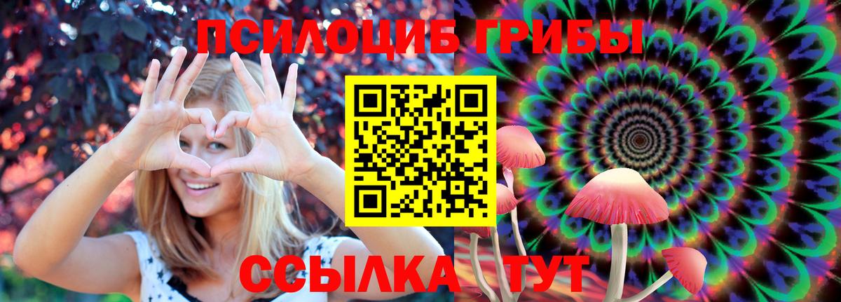 Галлюциногенные грибы Psilocybe Армавир